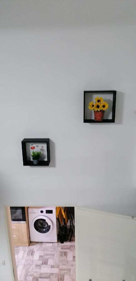 Little-Oasis Apartment Budapeszt Zewnętrze zdjęcie